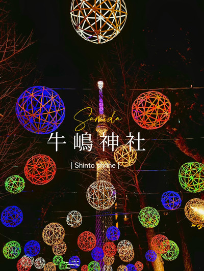 絶景】幻想的な竹あかりが素敵🎋牛嶋神社のライトアップ