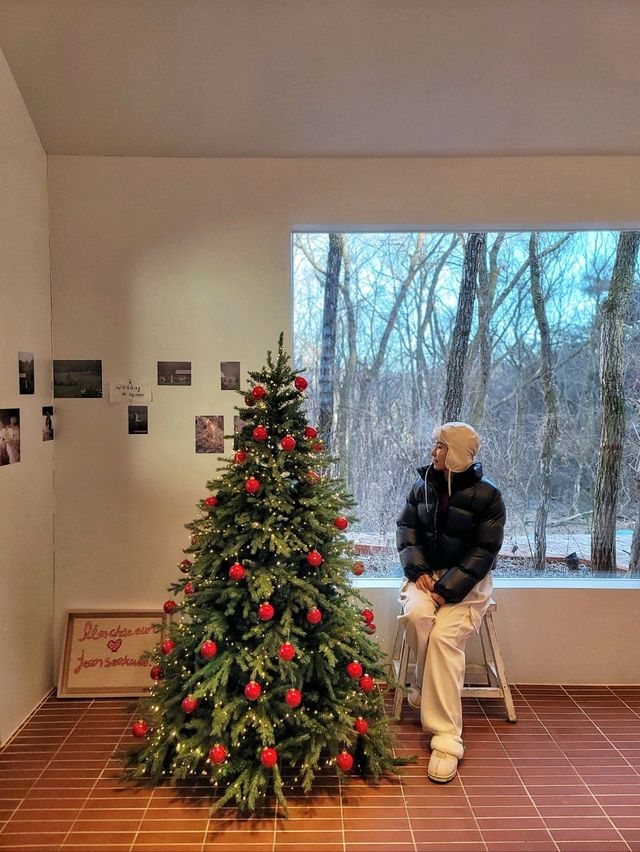 겨울시즌이라 더 예뻤던 숲속 카페🌲