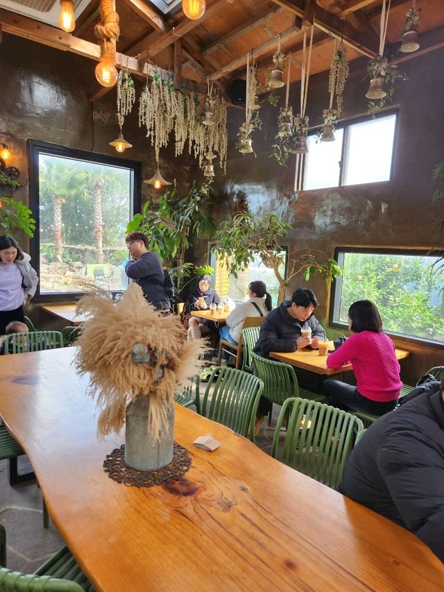 제주도에서 가장 재미있었던 카페 어린왕자감귤밭☺️