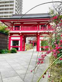 【成子天神社/東京都】現代の環境の中で共存している神社