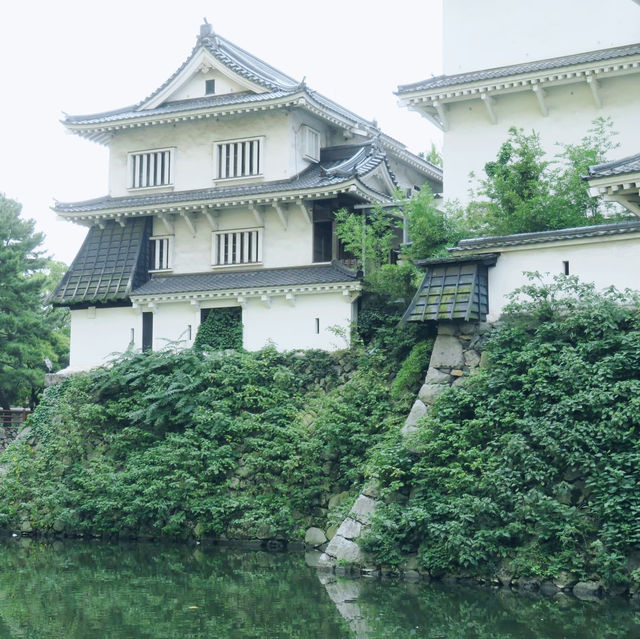 Yasaka Shrine, Fukuoka 🇯🇵