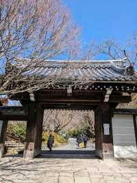 龍安寺の境内の鏡容池(おしどり池)の、水分石(みくまり石)の上には、２羽の鳥が仲良く並んでいた
