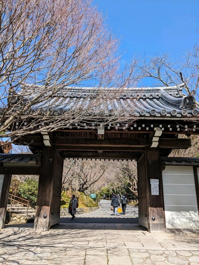 龍安寺の境内の鏡容池(おしどり池)の、水分石(みくまり石)の上には、２羽の鳥が仲良く並んでいた