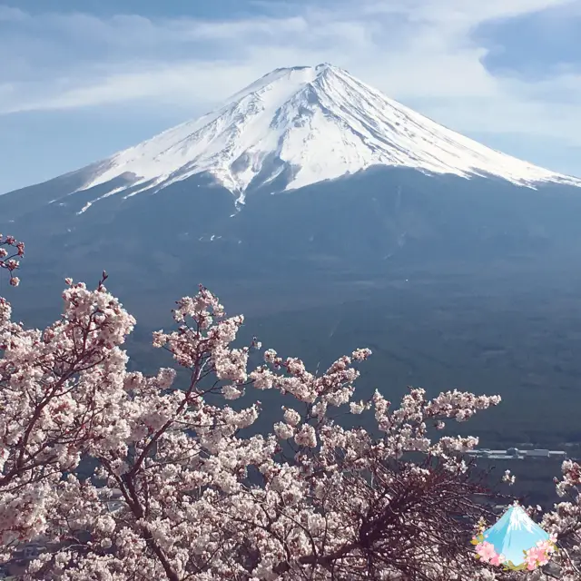 【河口湖天上山公園】飽覽富士山和河口湖的美景