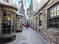 The Wizarding World of Harry Potter
