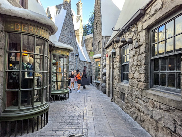The Wizarding World of Harry Potter