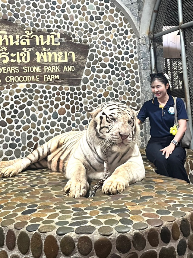 ขี่งวงช้าง ถ่ายรูปกับเสือ ชมโชว์จระเข้ที่พัทยา🐊