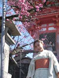京都必去-清水寺