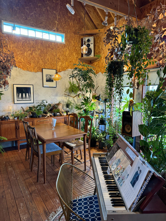 【福岡カフェ】毎週変わるシフォンケーキが絶品✨看板のないカフェ☕️