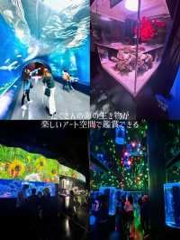 【東京】【品川】リトルマーメイドっぽいデジタルアート水族館🌴🐬✨