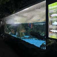 亞洲最大的水族館—濟州島