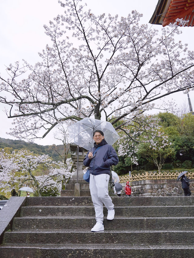 บานแล้ว ซากุระ ที่วัดน้ำใส Kiyomizu Dera เกียวโต