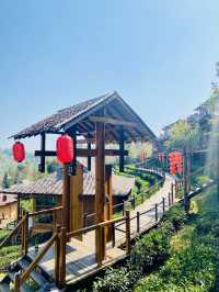 🇹🇭 Lee Wine Resort Tea Plantation