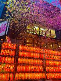 【東京】渋谷にエモい桜スポット