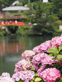 形原温泉　あじさいの里