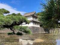 Kokyo Gaien National Garden 