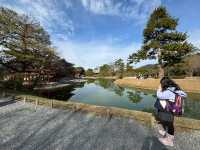 世界遺產——平等院