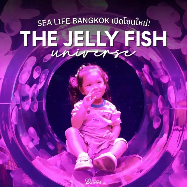 เปิดโซนใหม่ The Jelly Fish Universe สวยมาก!