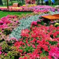 臺北花博公園：花海盡收眼底