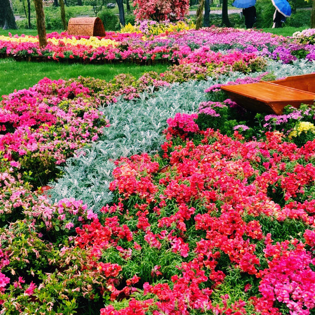 臺北花博公園：花海盡收眼底