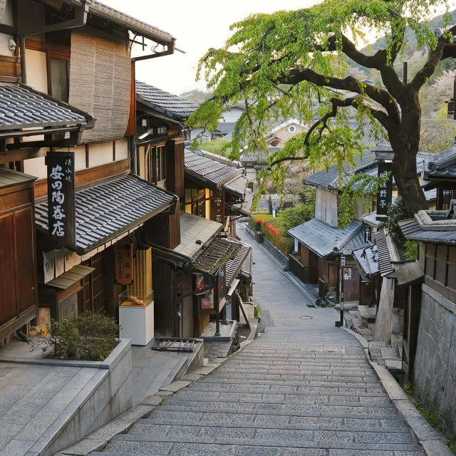 浪漫浮世小路🤓春天好去處