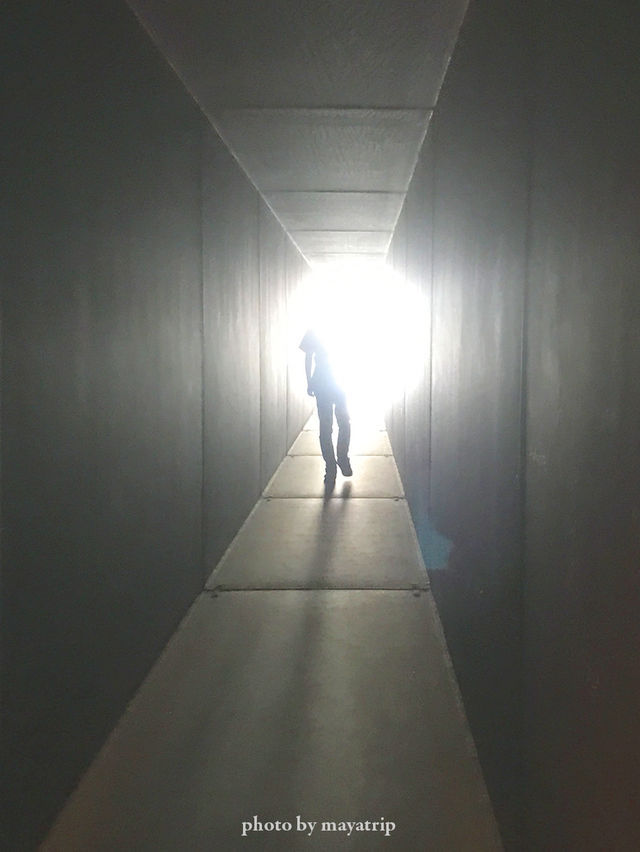 【神奈川】建築美と自然豊かな景色の融合