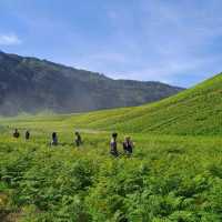 THE GREEN PARADISE OF BROMO