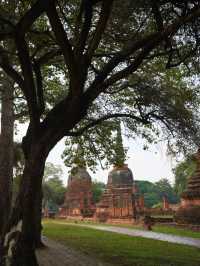 อุทยานประวัติศาสตร์พระนครศรีอยุธยา มรดกโลกที่มีเสน่