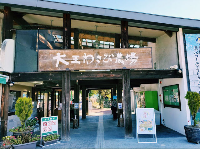 The Wasabi Farm🫶🏻