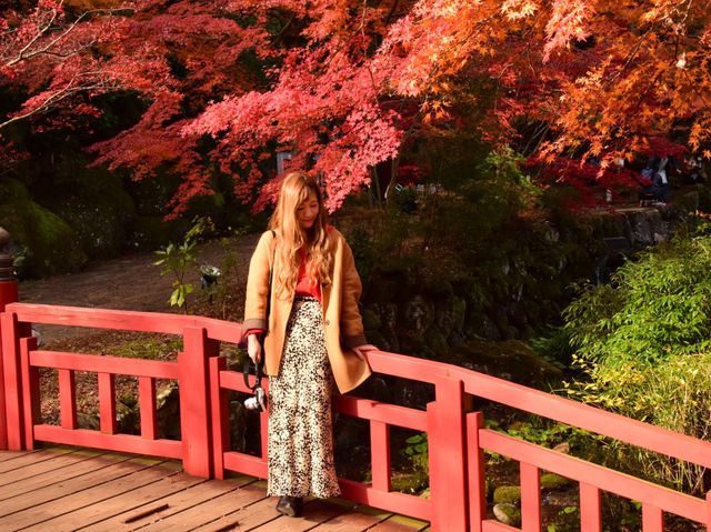 熱海梅園の紅葉