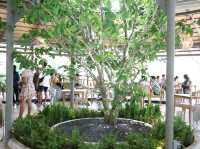 คาเฟ่กึ่งร้านอาหารเปิดใหม่ระยอง 🍃🌿🌳