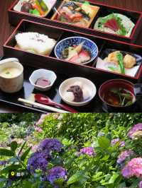 〜神奈川県〜秘密にしてた鎌倉穴場スポット🍽️重要文化財で贅沢ランチ🍽️