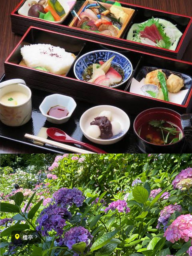 〜神奈川県〜秘密にしてた鎌倉穴場スポット🍽️重要文化財で贅沢ランチ🍽️