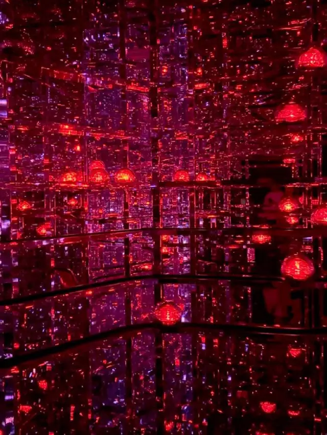 teamLab Borderless: MORI Building DIGITAL ART MUSEUM 