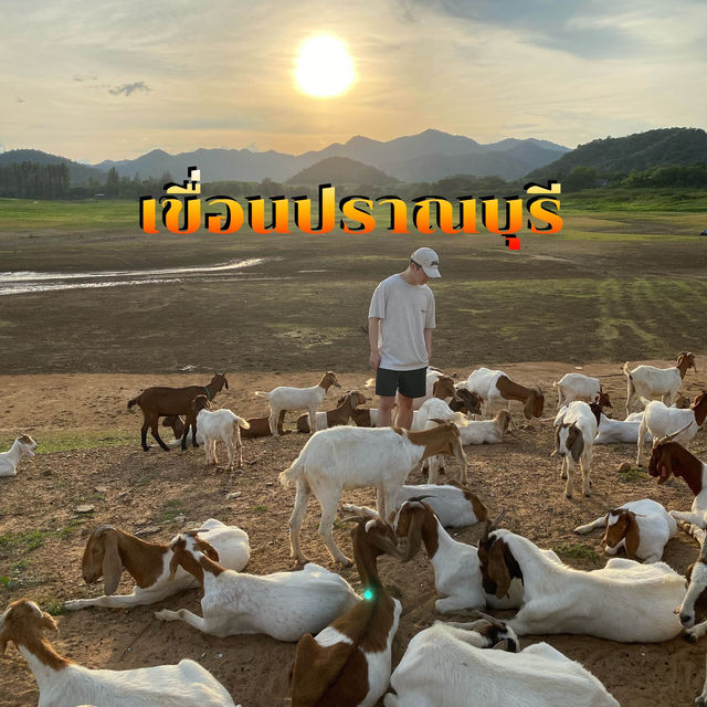 จับแพะชนแกะที่เขื่อนปราณบุรี บรรยากาศดีสุดๆ