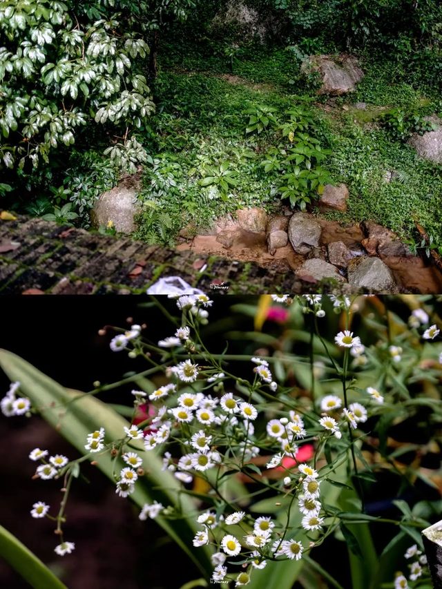 ใช้ชีวิตแบบสโลว์ไลฟ์ กับหมู่บ้านลับกลางหุบเขา 🌳