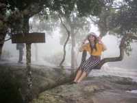 ดอกกระเจียวบาน @อุทยานแห่งชาติป่าหินงาม