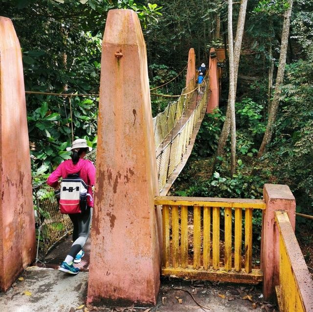 Adventurous jungle trekking at Gunung Lambak, Kluang