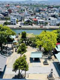 【愛媛県:今治】日本100名城『今治城』