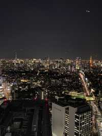 도쿄야경 스팟 총정리🌃
