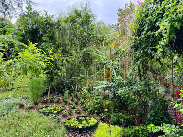 Woodlands Botanical Garden 🌻