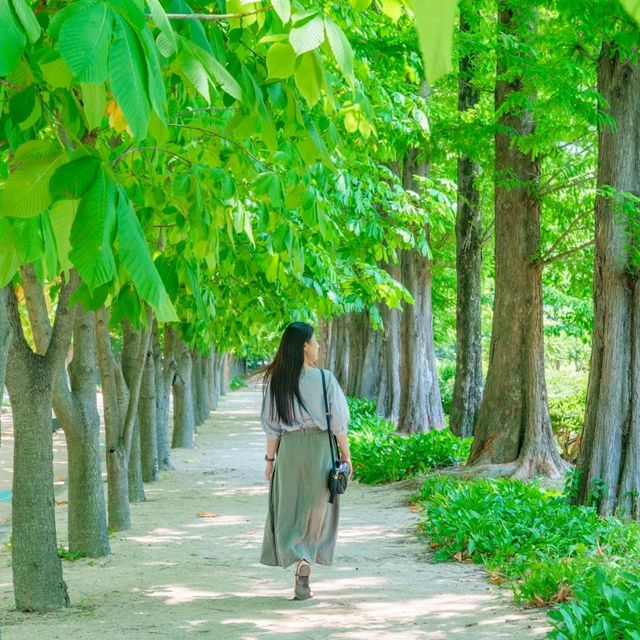 너무 예쁜 포토존이 있는