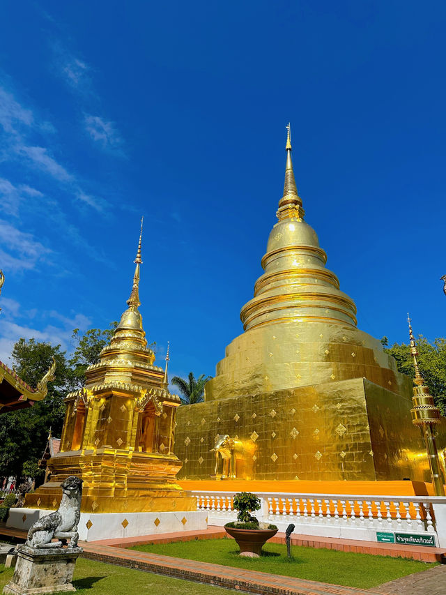 🇹🇭 치앙마이 필수 여행코스