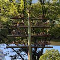 久屋大通庭園フラリエー入園無料