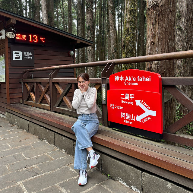 Alishan Taiwan