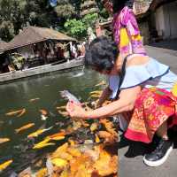 Wonderous experienced in Bali, Indonesia