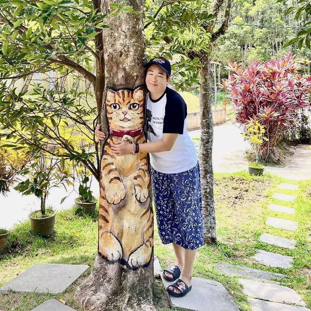 Hug a tree at Gaharu Tea Valley