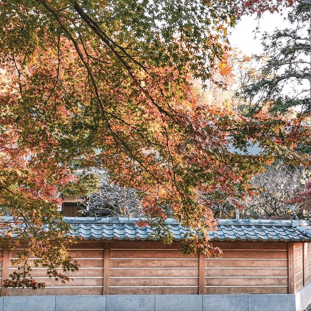【円覚寺】北鎌倉