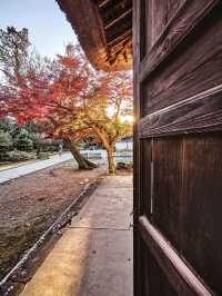 【円覚寺】北鎌倉