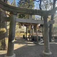 金鱗湖：湖畔神秘鳥居，由布院必遊景點
